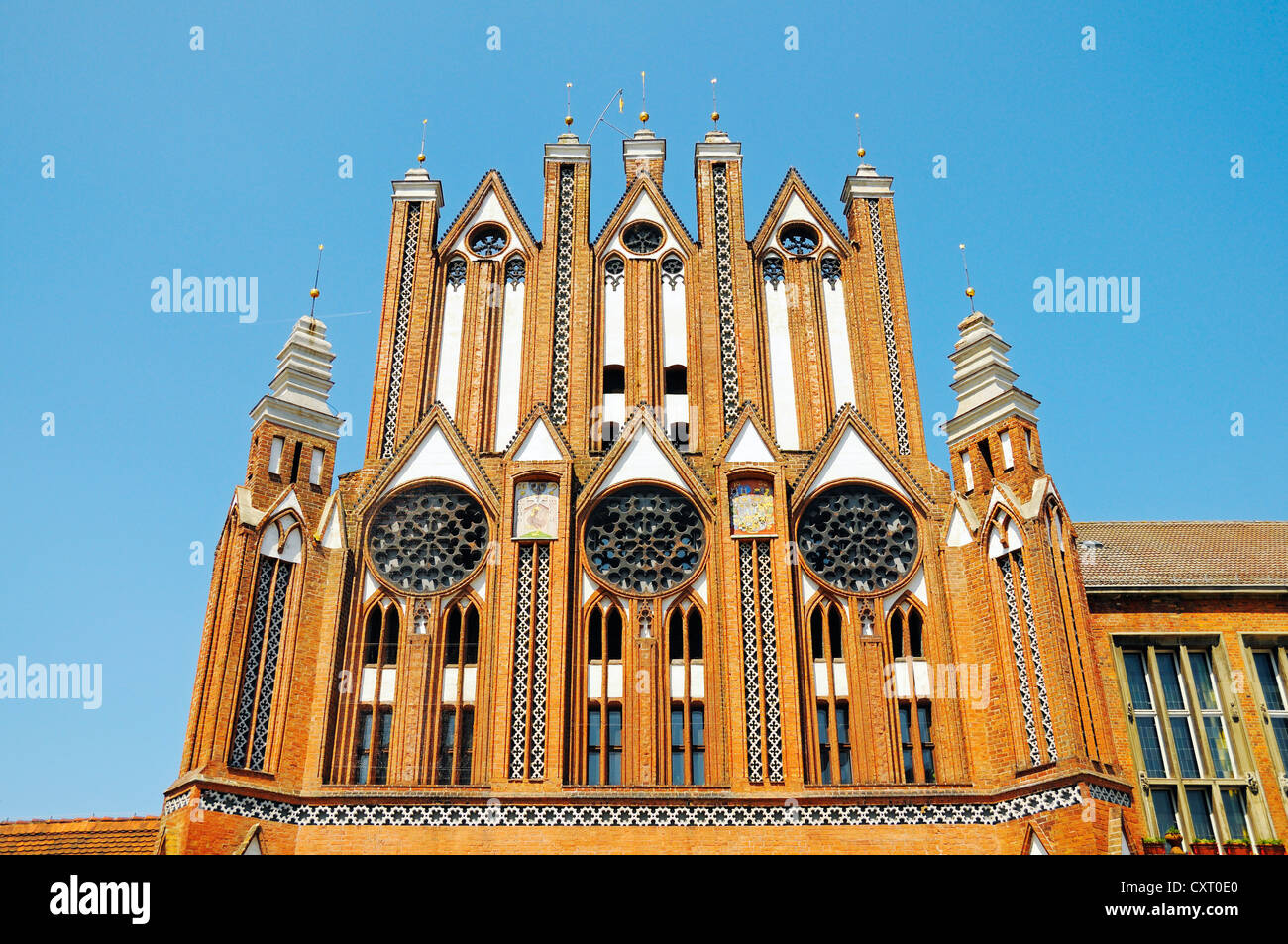 Rathaus und Museum Junge Kunst, Museum für junge Kunst, Frankfurt An Der Oder, Brandenburg, Deutschland, Europa Stockfoto