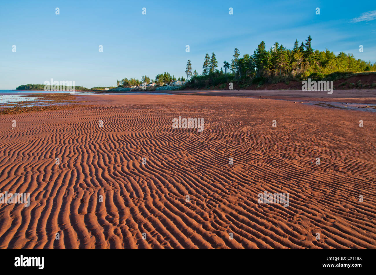 Die Bay Of Fundy Gezeiten zurück verlassen die roten Sandboden eindeutig prasselten Stockfoto