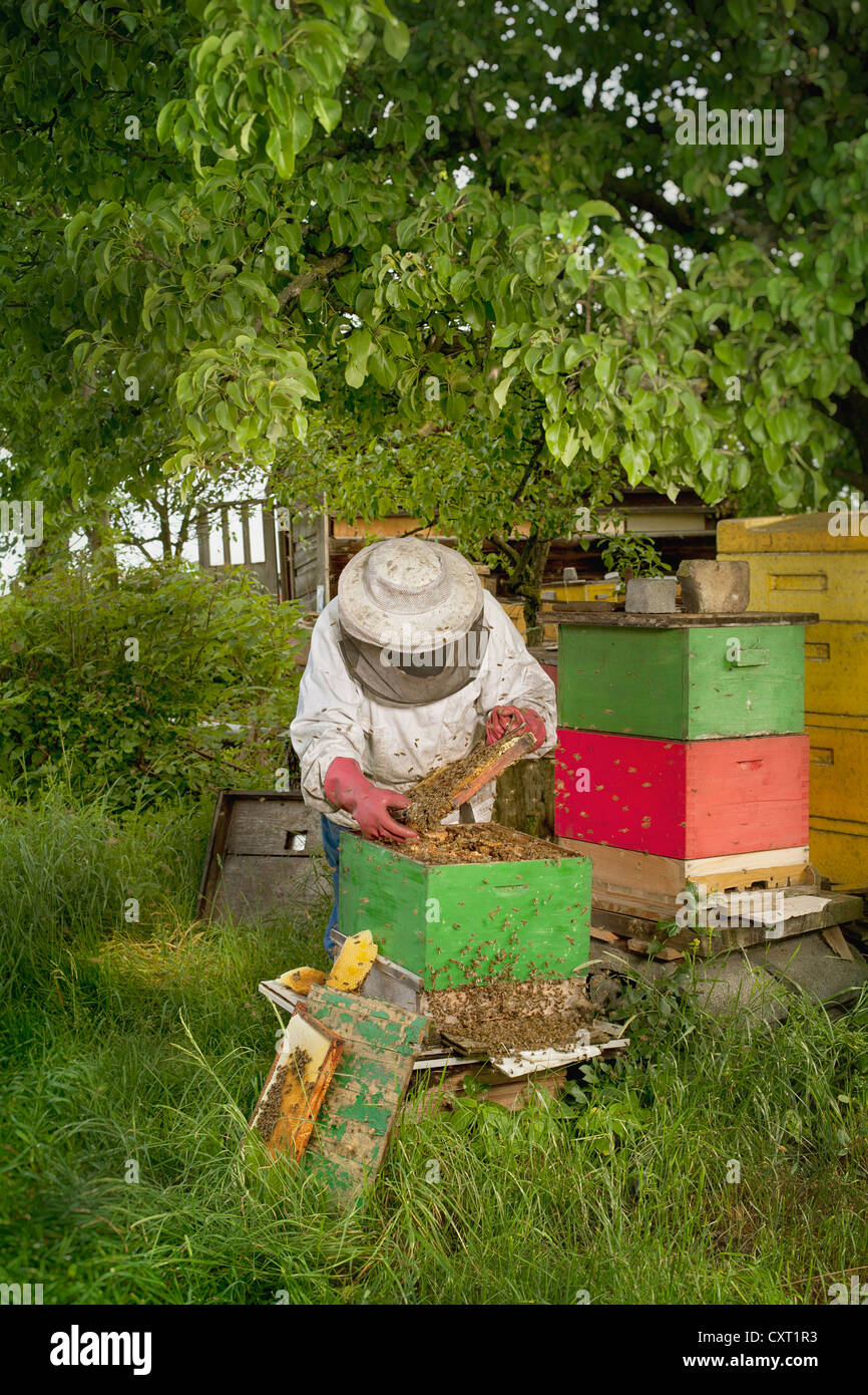 Imker vor einer Hoffnung Bienenstock Stockfoto