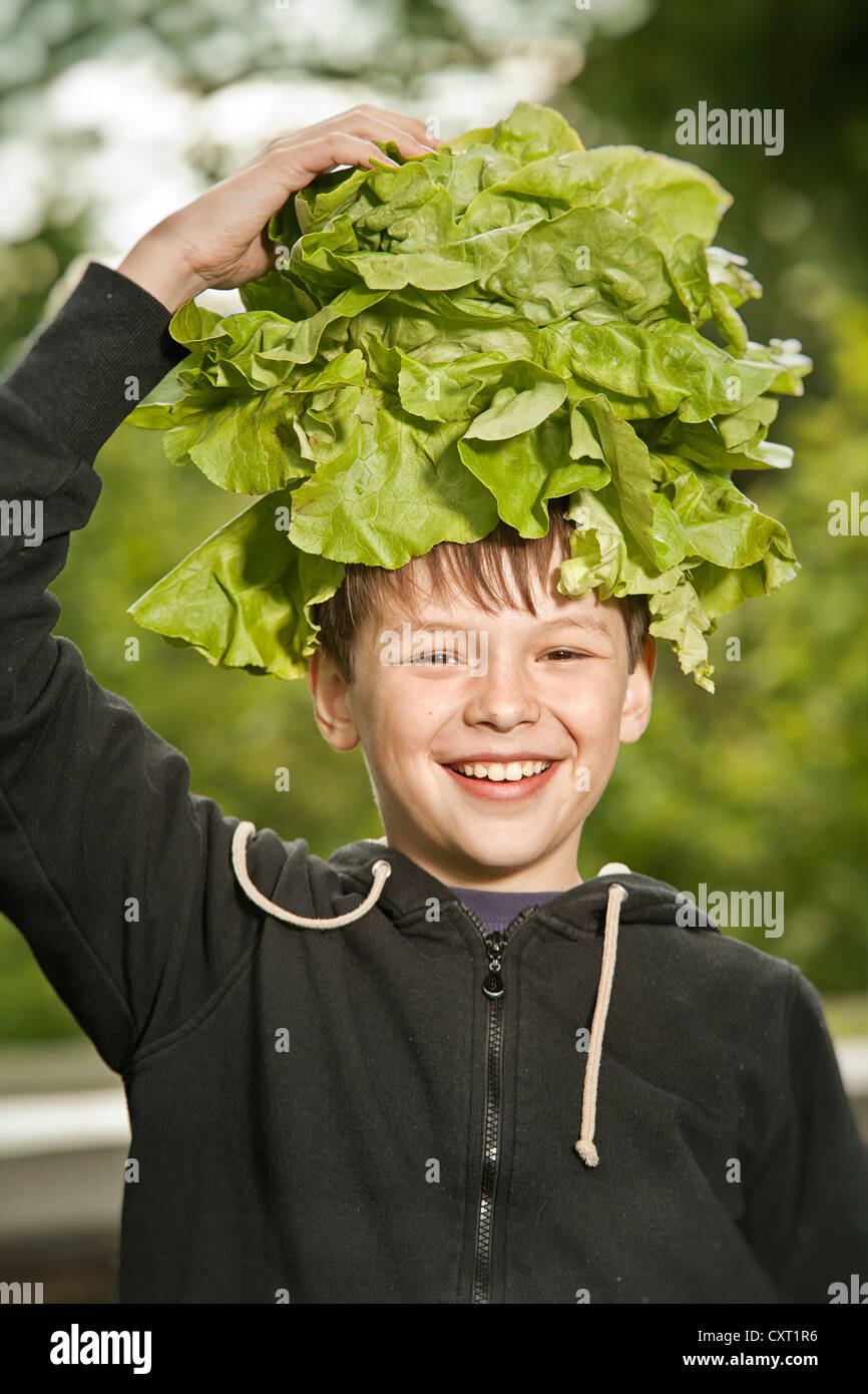 Junge hält einen Salatkopf auf seinem Kopf, Salat-Ernte Stockfoto