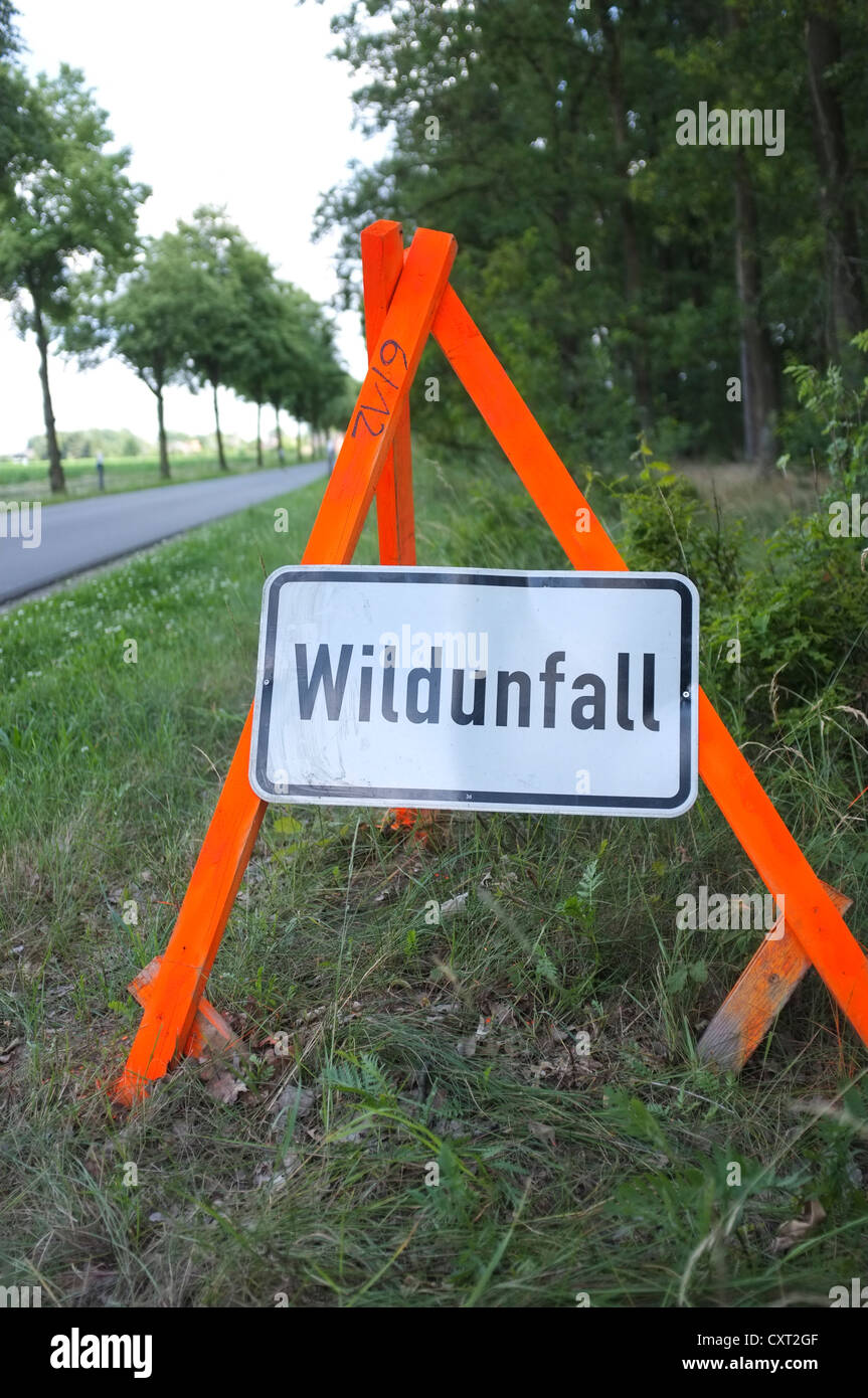 "Wildunfall" unterzeichnen, Deutsch für "Tierwelt Kollision oder Unfall" am Straßenrand Stockfoto