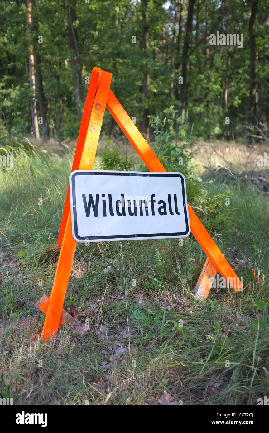 "Wildunfall" unterzeichnen, Deutsch für "Tierwelt Kollision oder Unfall" am Straßenrand Stockfoto