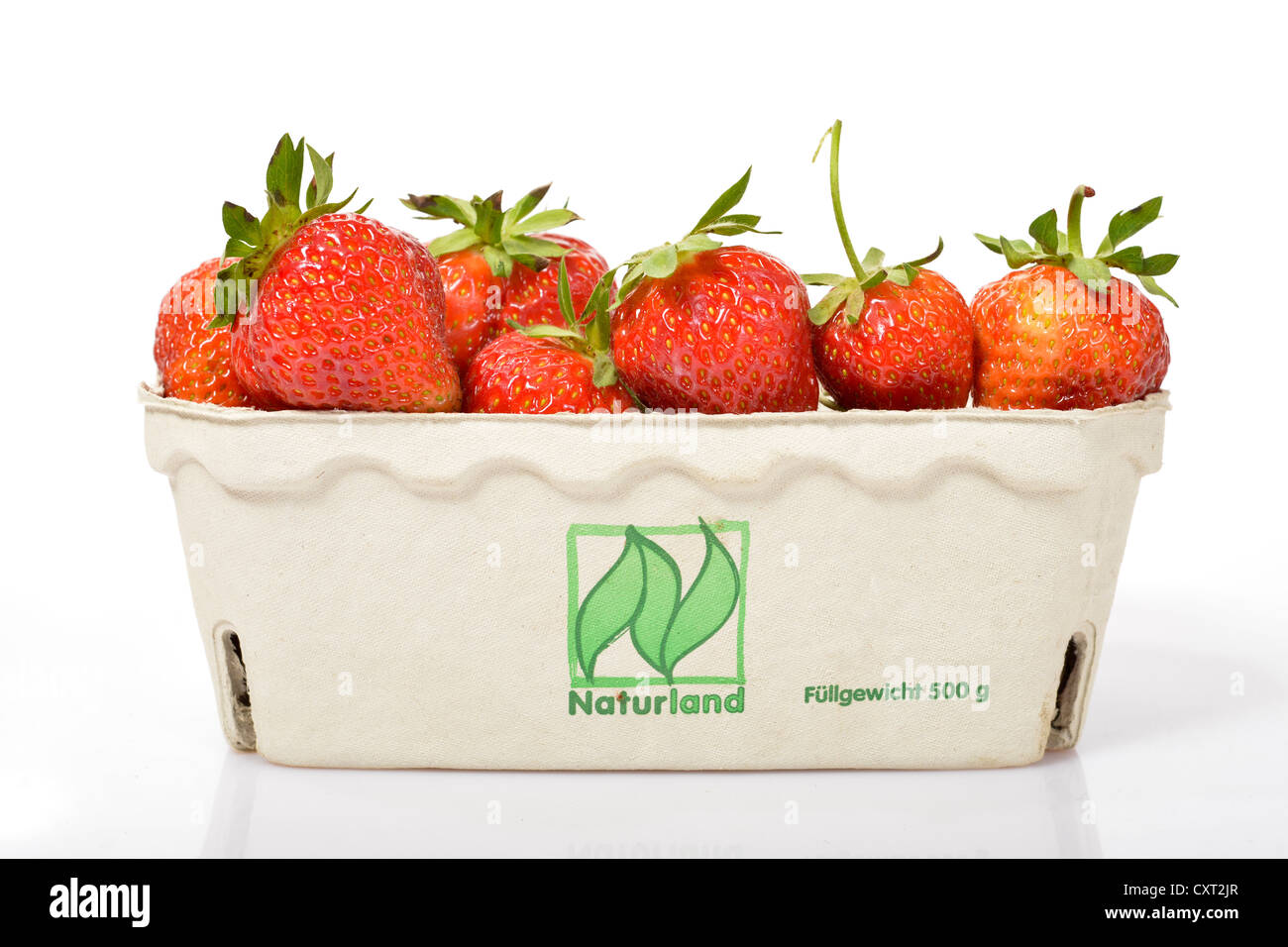 Erdbeeren aus Naturland ökologische Landwirtschaft in ein Papierfach Stockfoto