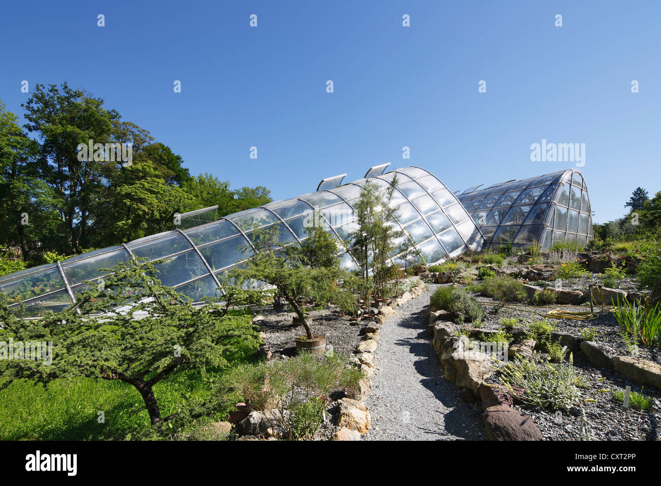 Neue Gewächshäuser im Botanischen Garten der Universität Graz, Steiermark, Austria, Europe Stockfoto