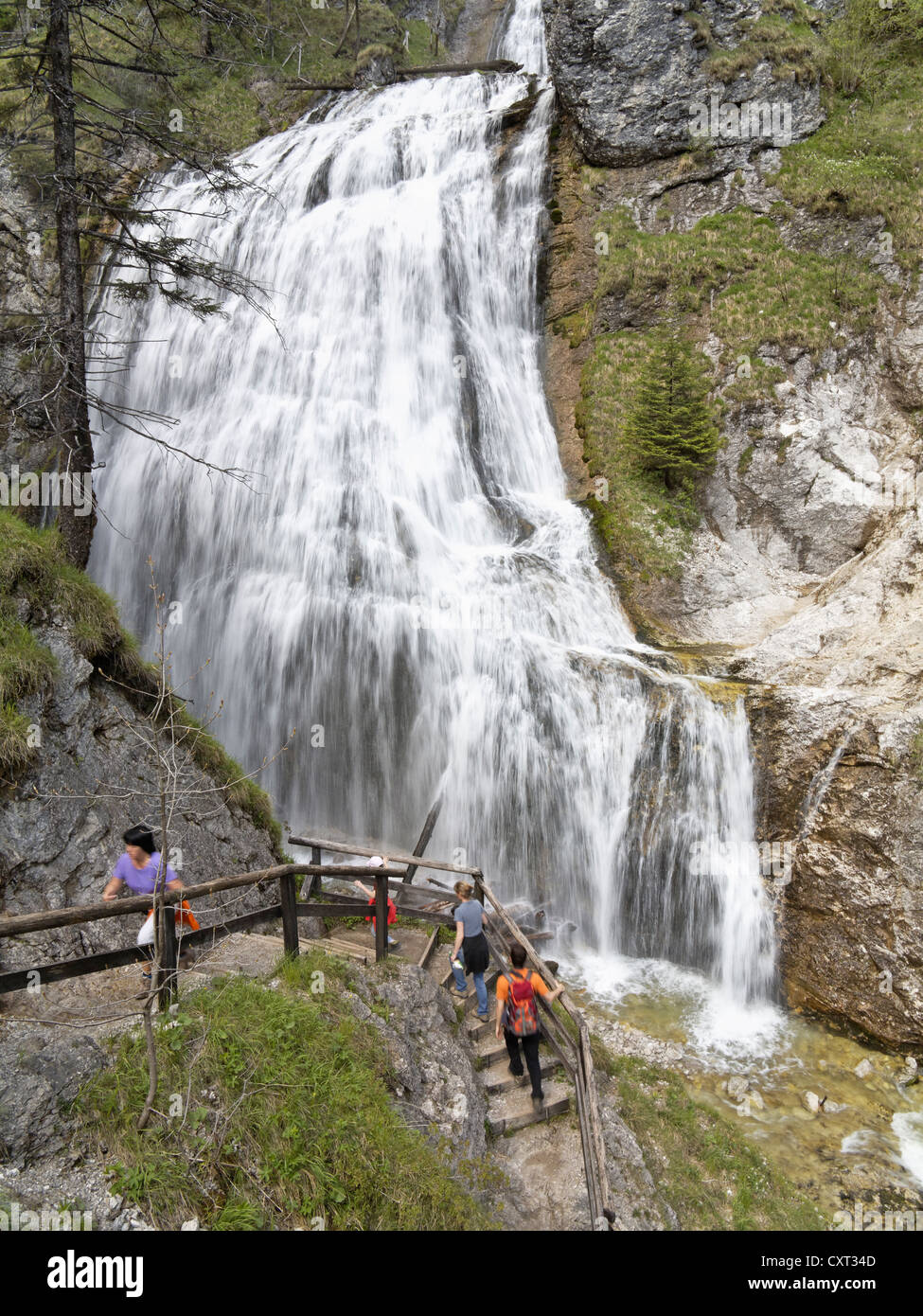 Wasserlochklamm Schlucht in der Nähe von Palfau, Obersteiermark, Steiermark, Austria, Europe Stockfoto