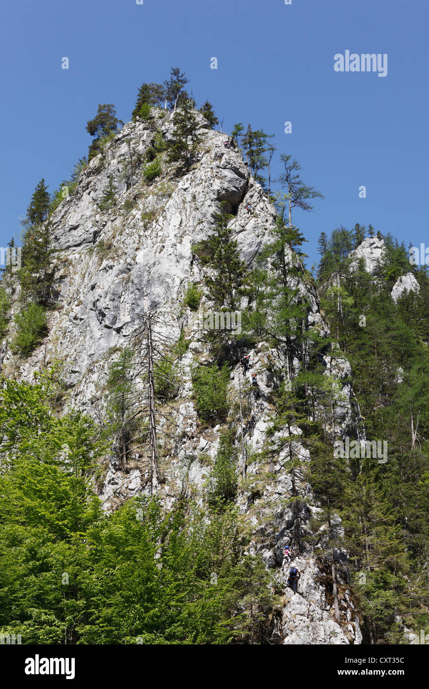 Klettersteig in der Nähe von Johnsbach, Nationalpark Gesäuse, Ennstaler Alpen, Obersteiermark, Steiermark, Österreich, Europa, PublicGround Stockfoto
