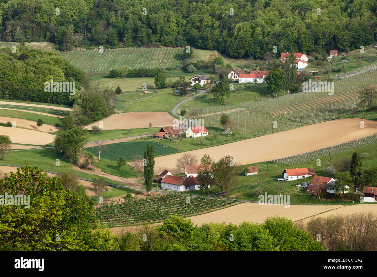 Kulturlandschaft in der Nähe von St. Anna bin Aigen, Kloecher Wein Route, Ost-Steiermark, Steiermark, Austria, Europe Stockfoto