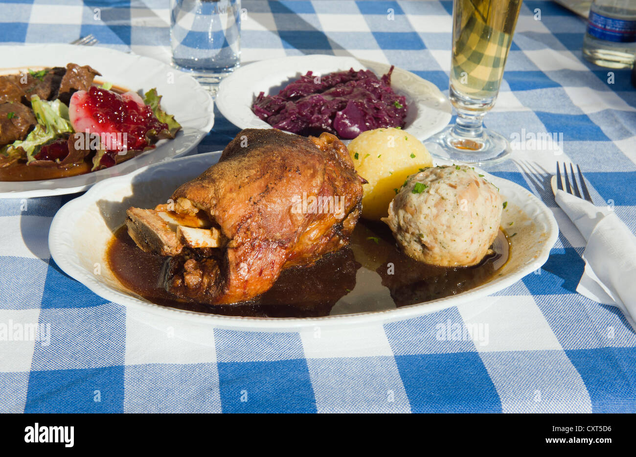 Eisbein mit Knödel, bayerische Küche, Landshut, Bayern, Deutschland, Europa Stockfoto