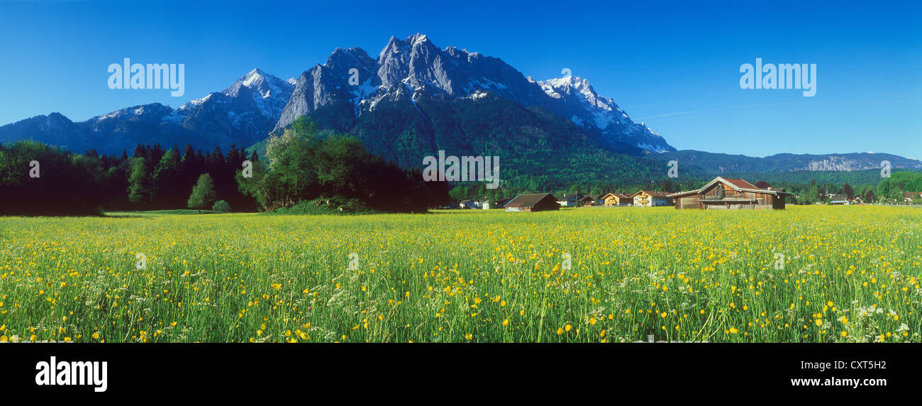 Frühlingswiese mit Mt Zugspitze in der Nähe von Grainau, Bayerische Alpen, Upper Bavaria, Bayern, Deutschland, Europa Stockfoto