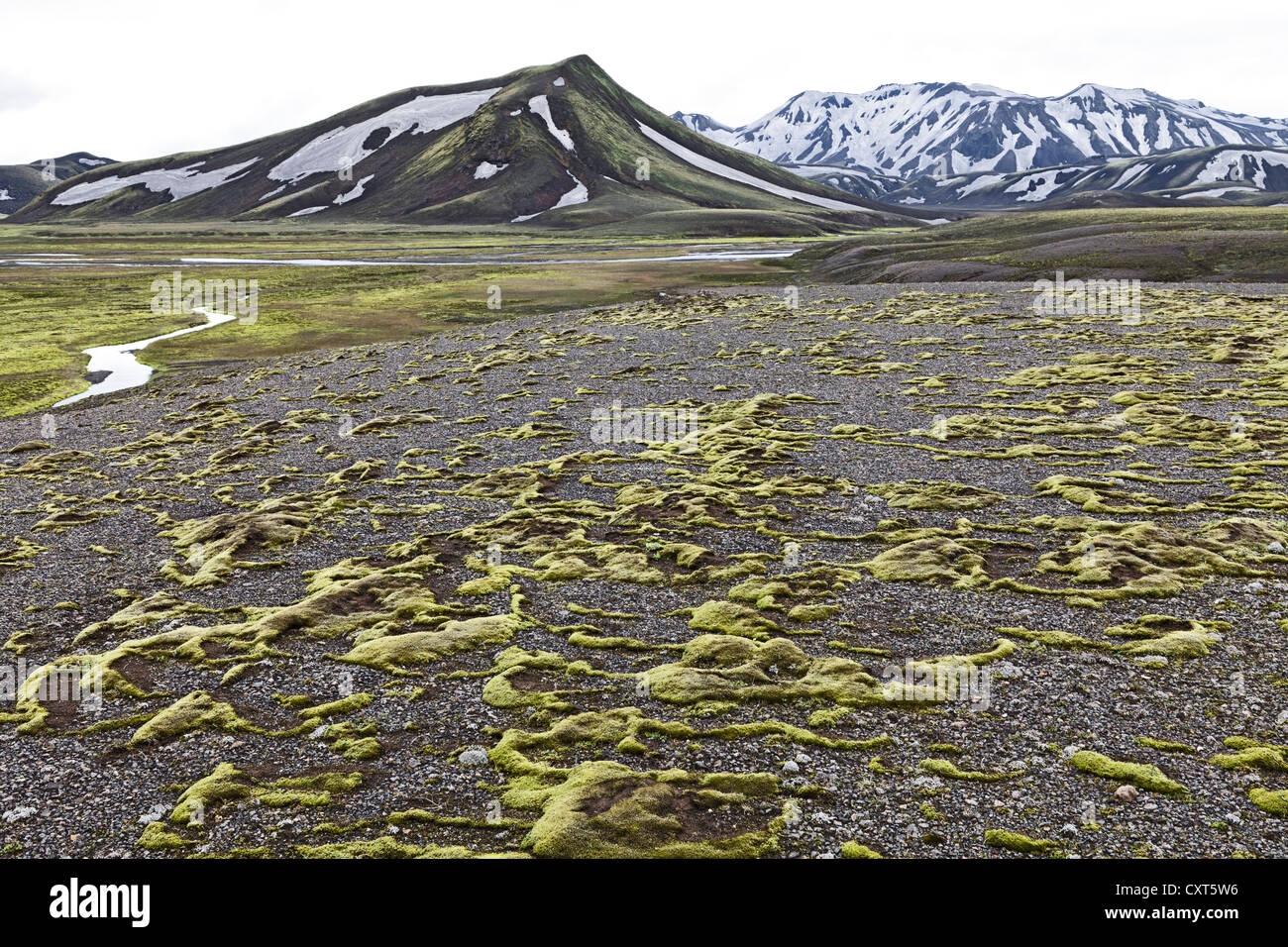 Fetzen von Moos bedeckt die Lava-Oberflächen auf einem Hochplateau im Fjallabak Naturschutzgebiet, Highlands, Island, Europa Stockfoto