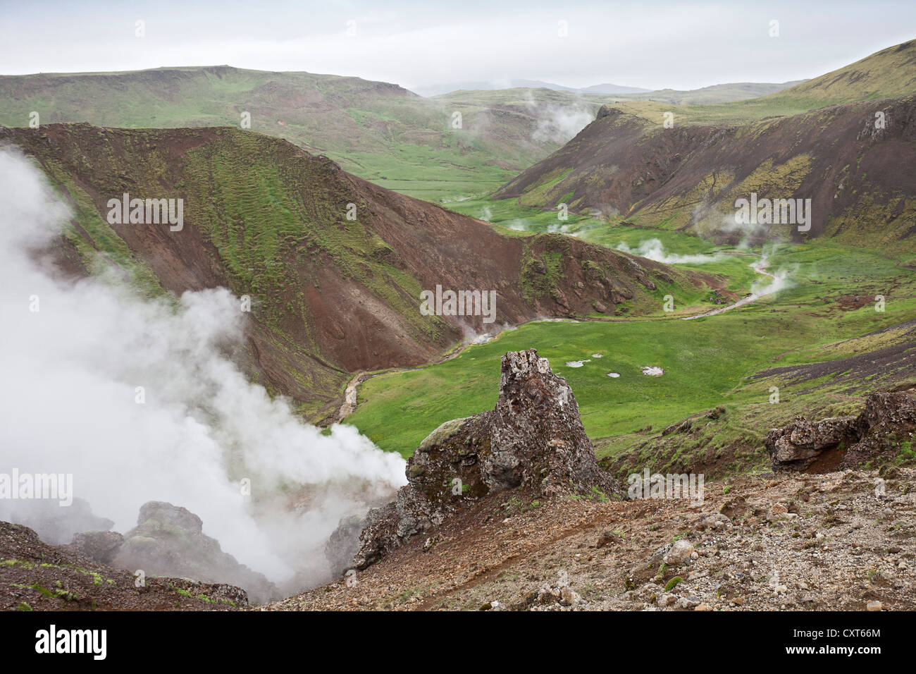 Heißen Quellen im Bereich Hveragerdi geothermische Hveragerdi Tal, Hverager i, Hveragerdisbaer, Island, Europa Stockfoto