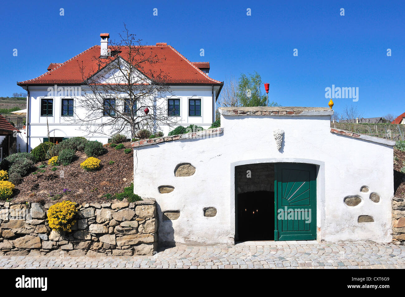 Weingut mit einem Weinkeller in Hadersdorf, Kamptal-Tal, Langenlois, Niederösterreich, Österreich Stockfoto