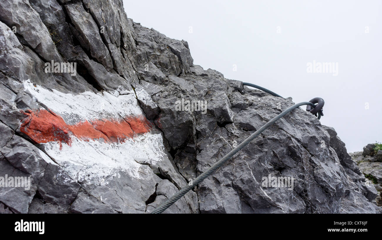 Bergweg auf Ageteplatte mit Stahlseil, Alpstein Palette, Kanton St. Gallen, Schweiz, Europa Stockfoto