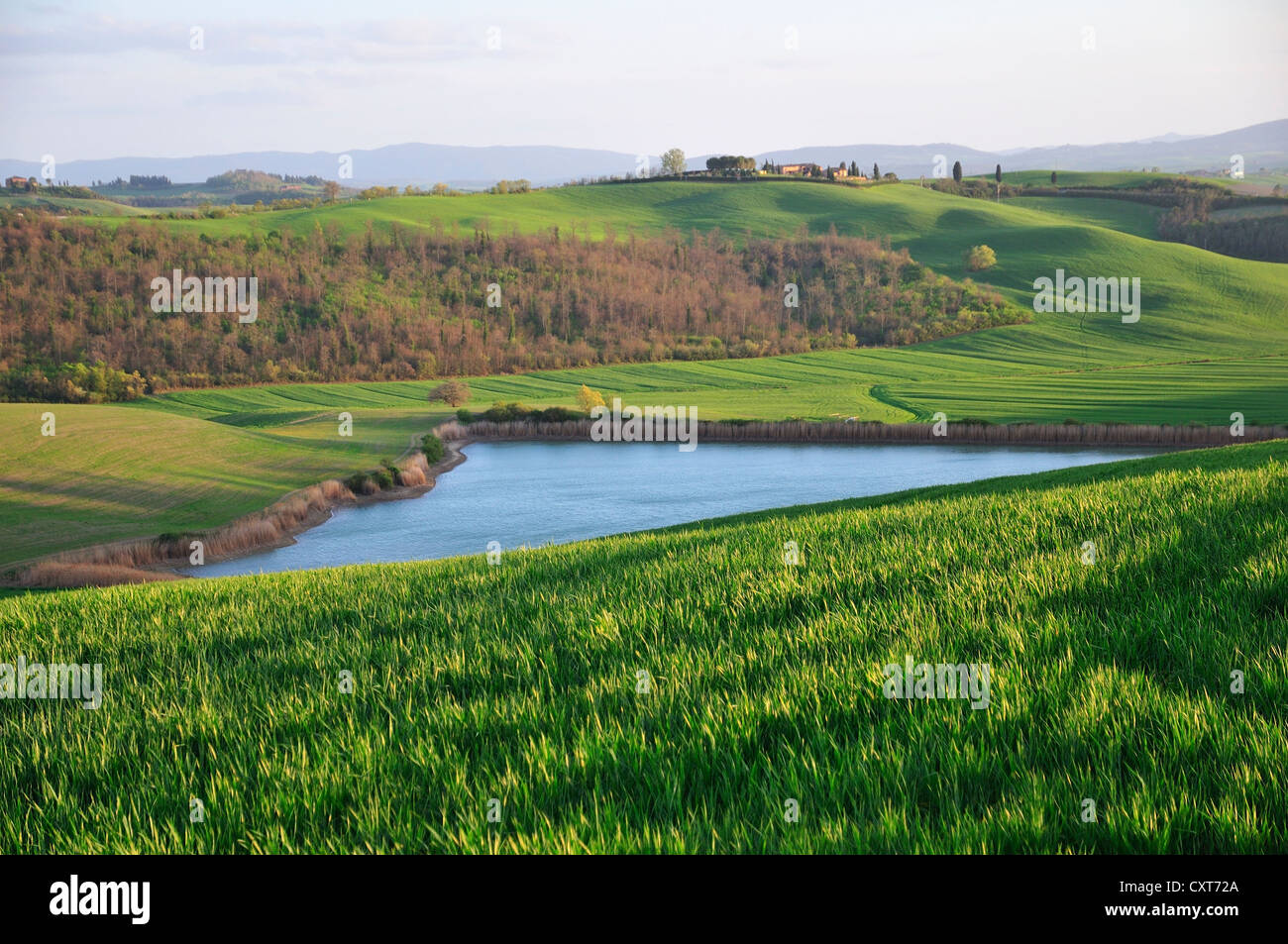 Grüne Wiesen und ein Reservoir, Crete Senesi, Toskana, Italien, Europa Stockfoto