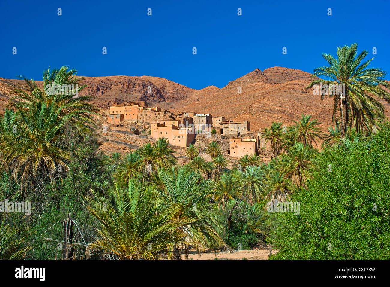 Kleiner Ton-Dorf und Dattelpalmen (Phoenix SP.) vor dem roten Berglandschaft im Tal Ait Mansour Stockfoto