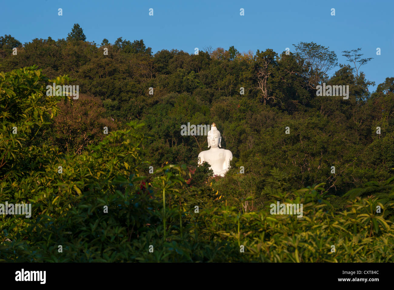 Weiße Buddha-Statue, die Phra Buddha Nirandornchai, Wat Tha Ton, Tha Ton auch bekannt als Verbot Thaton, nördlichen Thailand, Thailand, Asien Stockfoto