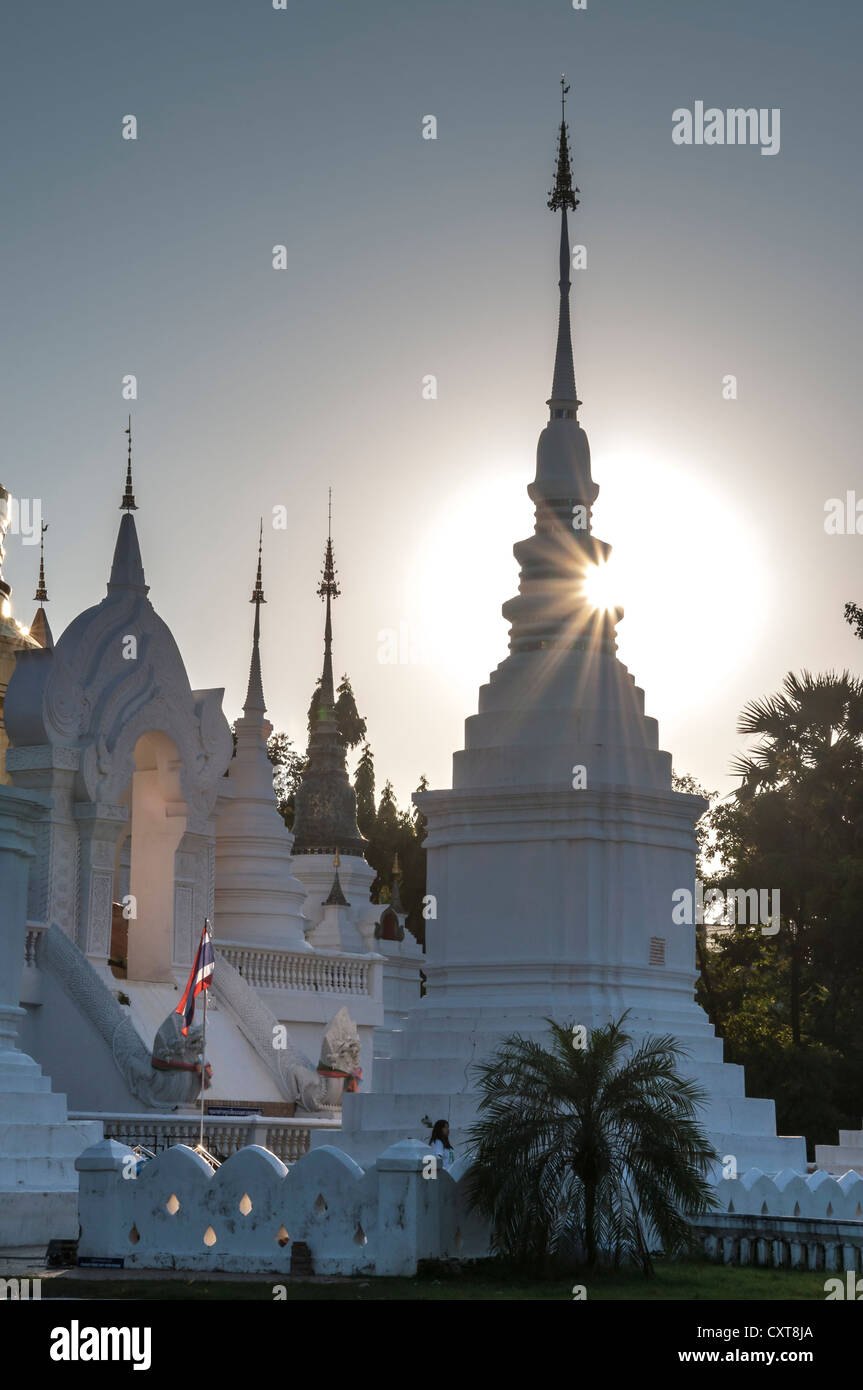 Stupas, Wat Suan Dok, Chiang Mai, Nord-Thailand, Thailand, Asien Stockfoto