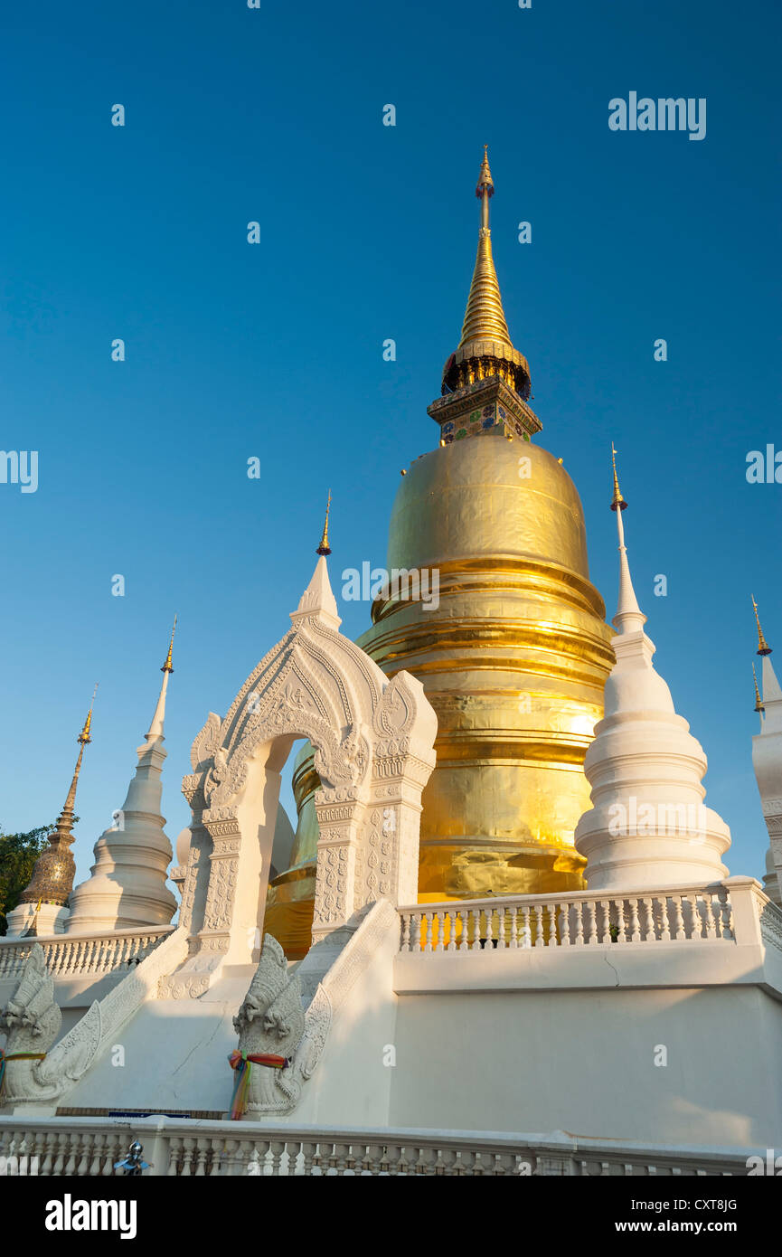 Goldene Pagode oder Chedi, Wat Suan Dok, Chiang Mai, Nord Thailand, Thailand, Asien Stockfoto