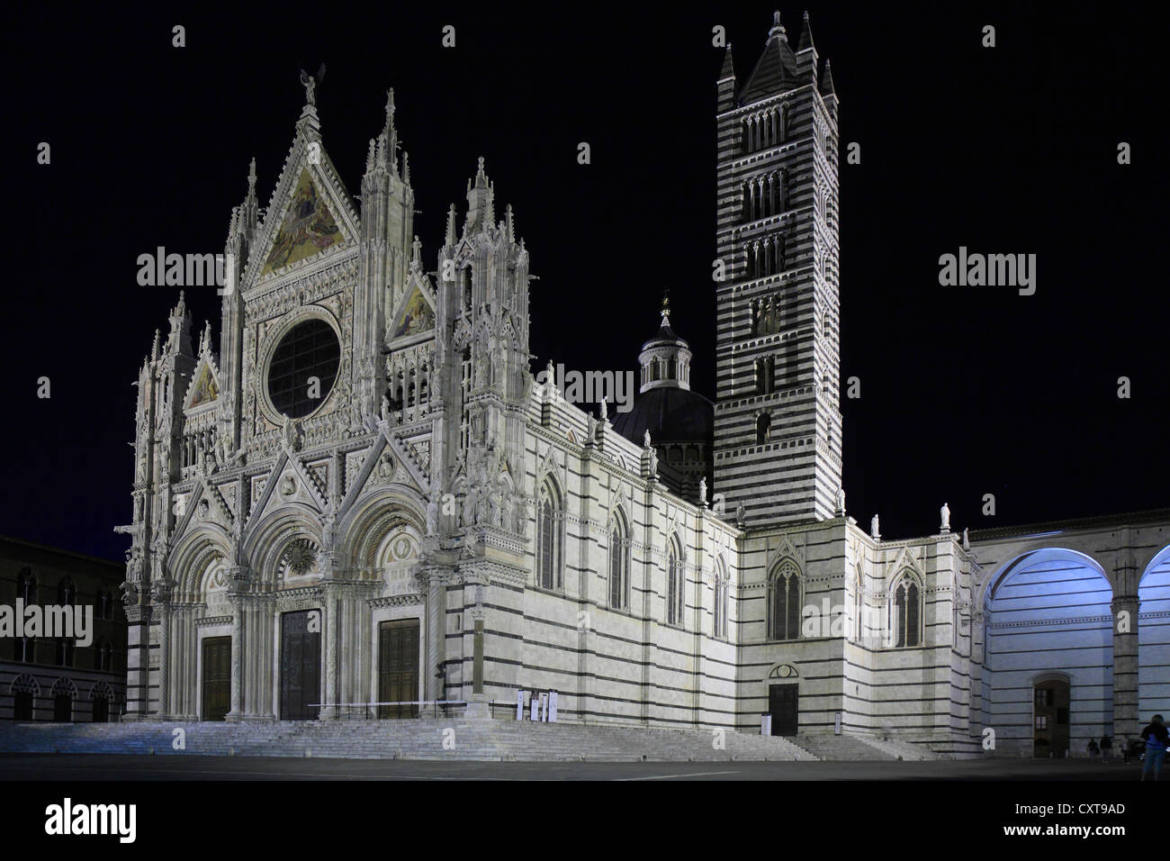 Dom von Siena, Kathedrale Santa Maria Assunta bei Nacht, Siena, Toskana, Italien, Europa Stockfoto