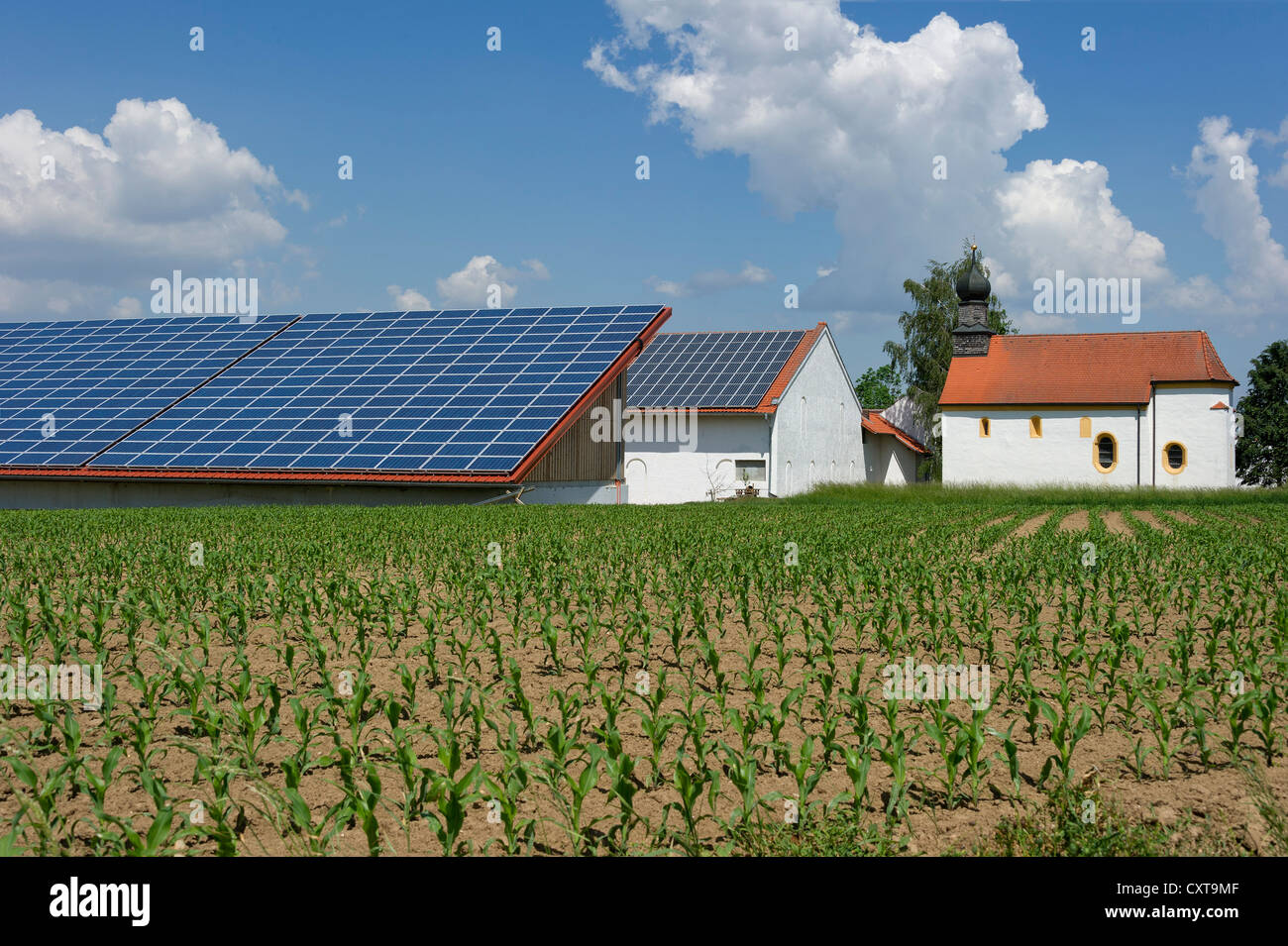 Photovoltaik-Anlage, Photovoltaik-Anlage auf dem Dach eines landwirtschaftlichen Gebäudes in der Nähe von Plattling, Bayern, Niederbayern Stockfoto