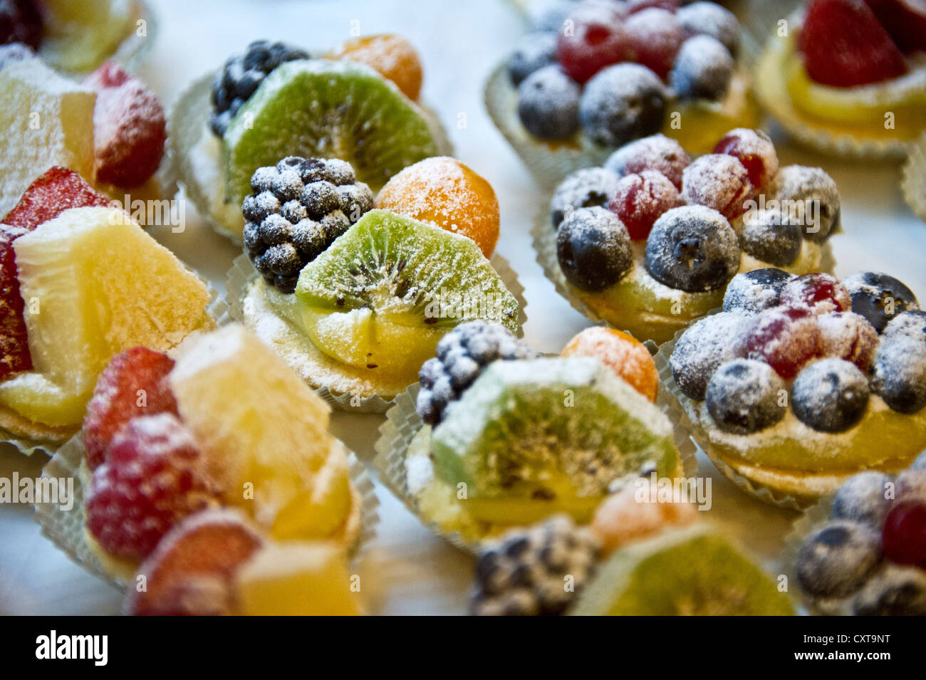 Kleine Törtchen mit Früchten an einer Pasticceria cake Shop, Rom, Latium, Italien, Europa Stockfoto