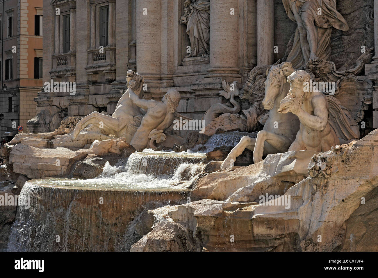 Tritonen mit geflügelten Pferden auf die Fontana di Trevi-Brunnen, Fontana di Trevi, Rom, Latium, Italien, Europa Stockfoto