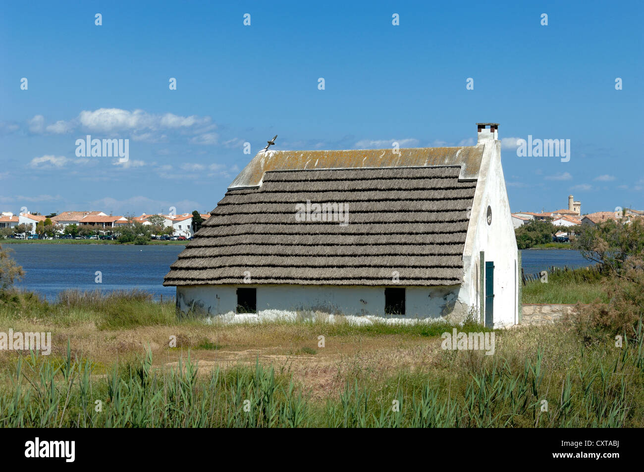 Reetgedeckte Schutzhütte, Hütte oder Hütte am Waters Edge oder am See in Les Saintes-Maries-de-la-Mer Camargue France Stockfoto