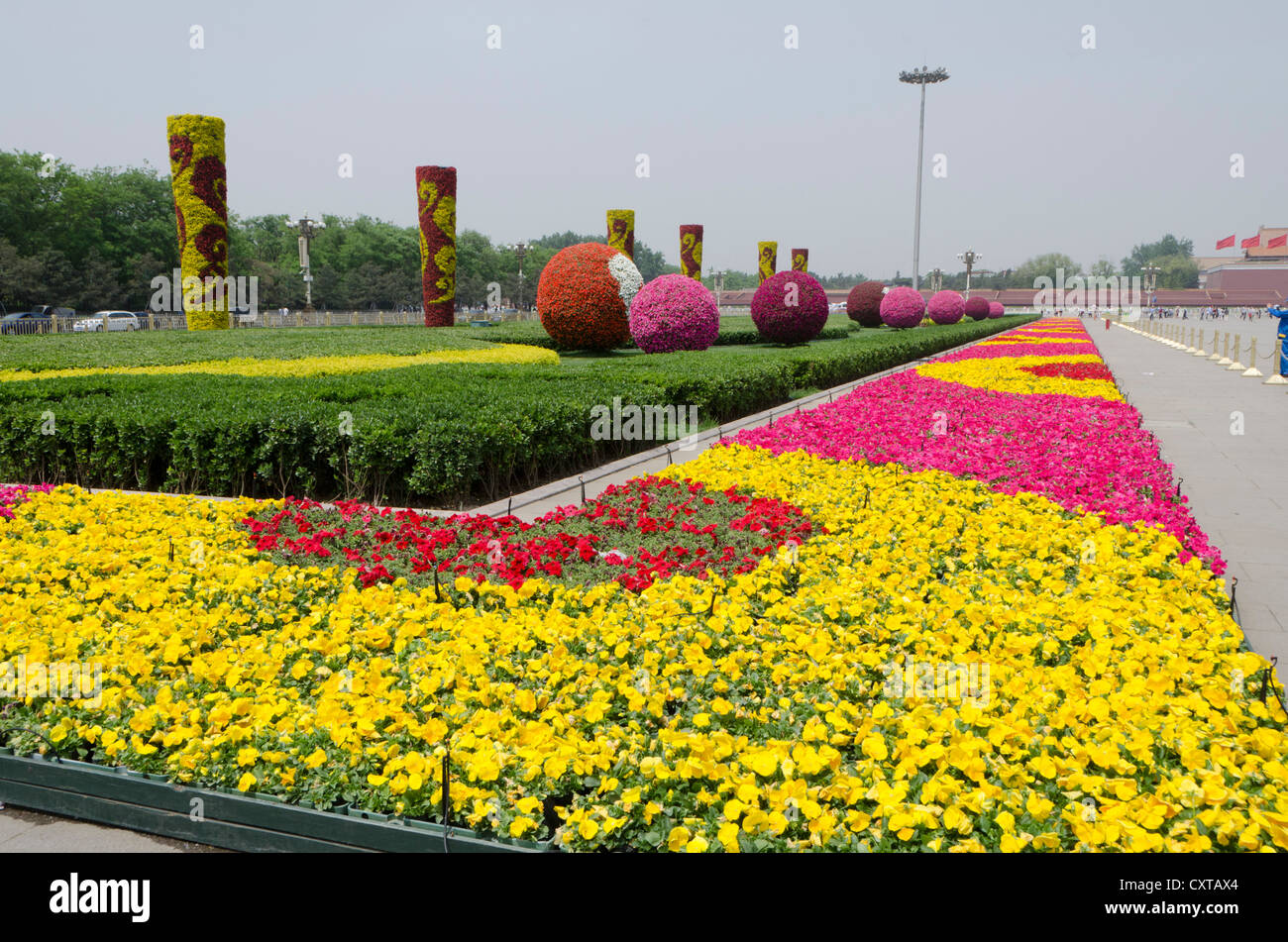 Blumen, Platz des himmlischen Friedens, Peking, China Stockfoto