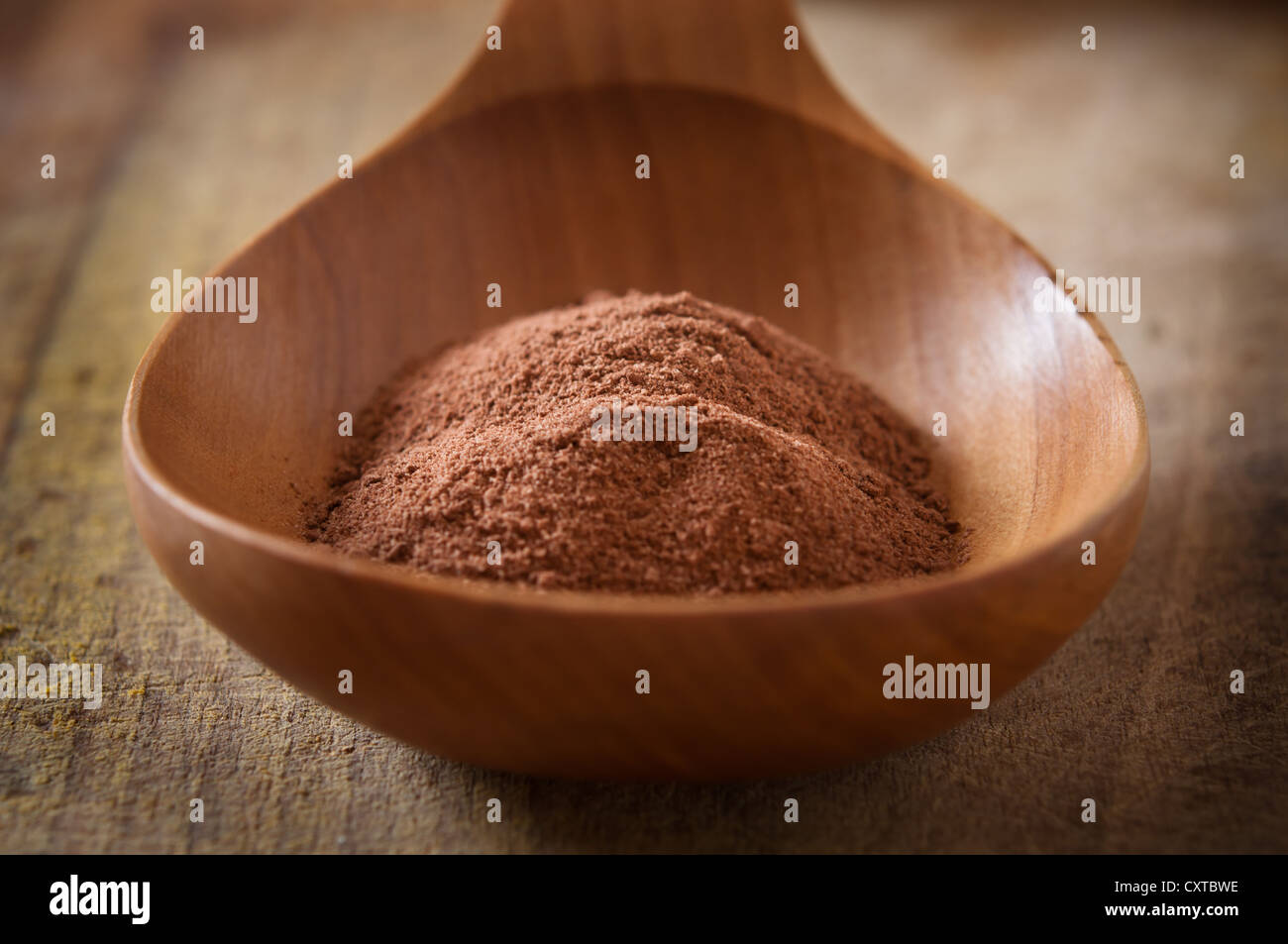 Kakaopulver in Holzlöffel Stockfoto
