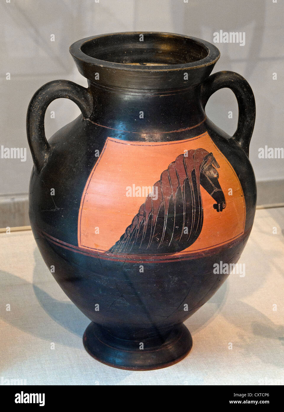 Terracotta Amphore Lagerung jar Maler des Pferdkopf Amphoren archaischen 560 – 550 v. Chr. griechische Attic Stockfoto