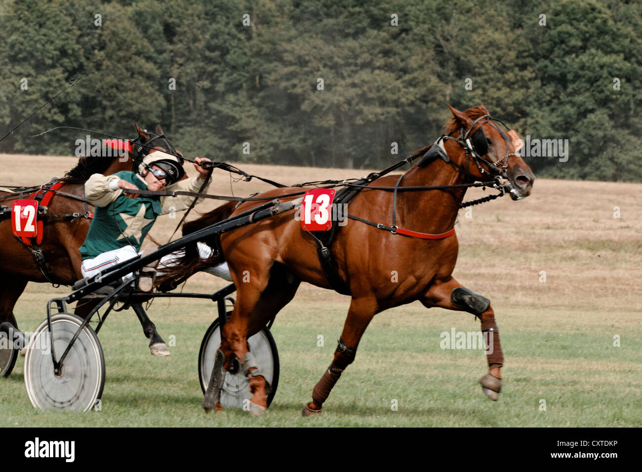 Pferd Rennen Rennsport Wagen im Hippodrom Rambouillet Stockfoto