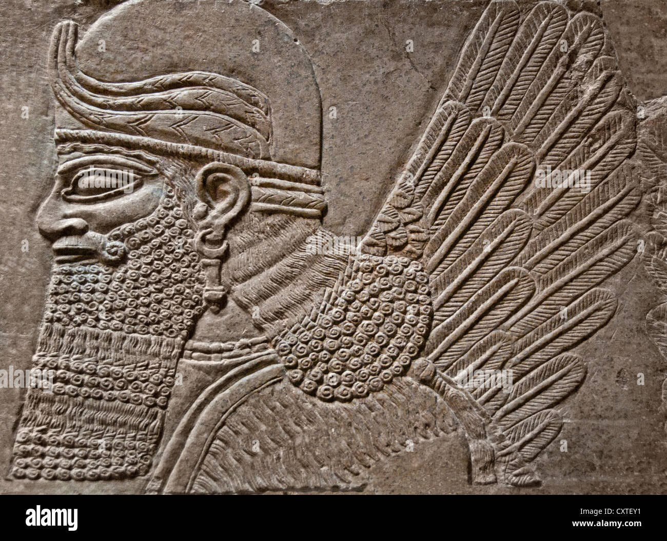 Royal palace of ashurnasirpal ii Fotos und Bildmaterial in hoher