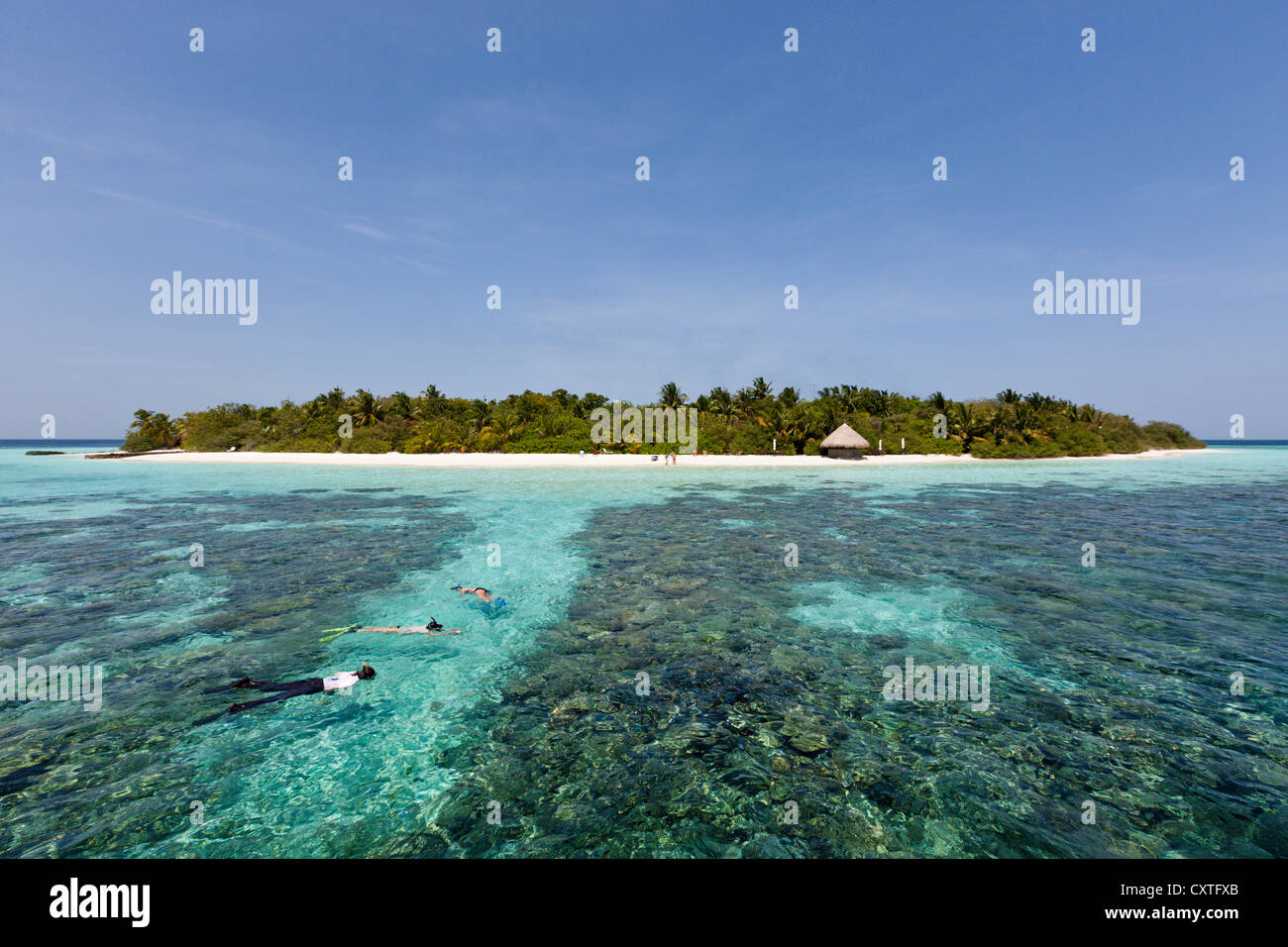 Schnorcheln am Hausriff von Eriyadu Island, Nord Male Atoll, Malediven Stockfoto