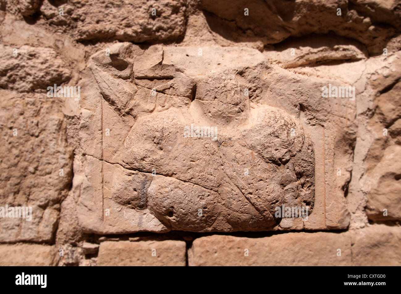 2. Jh. n. Chr. Stein Relief Kavallerist Büste in Wand von Karak Haupträumen, Jordanien Stockfoto