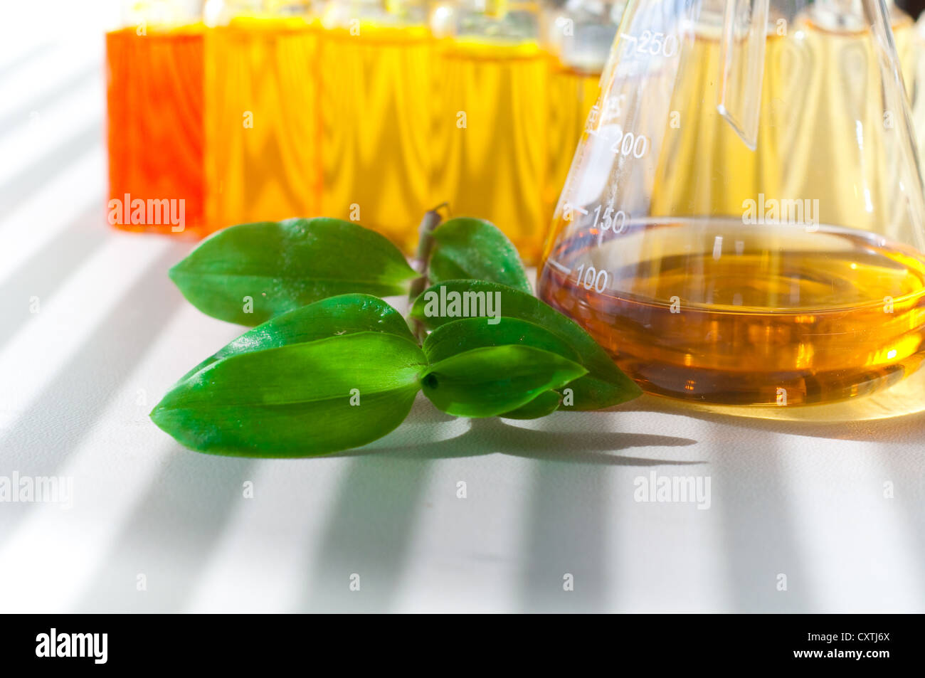 Küvette alternative Kraftstoffe Werk, das abgeleitet Kraftstoff Stockfoto