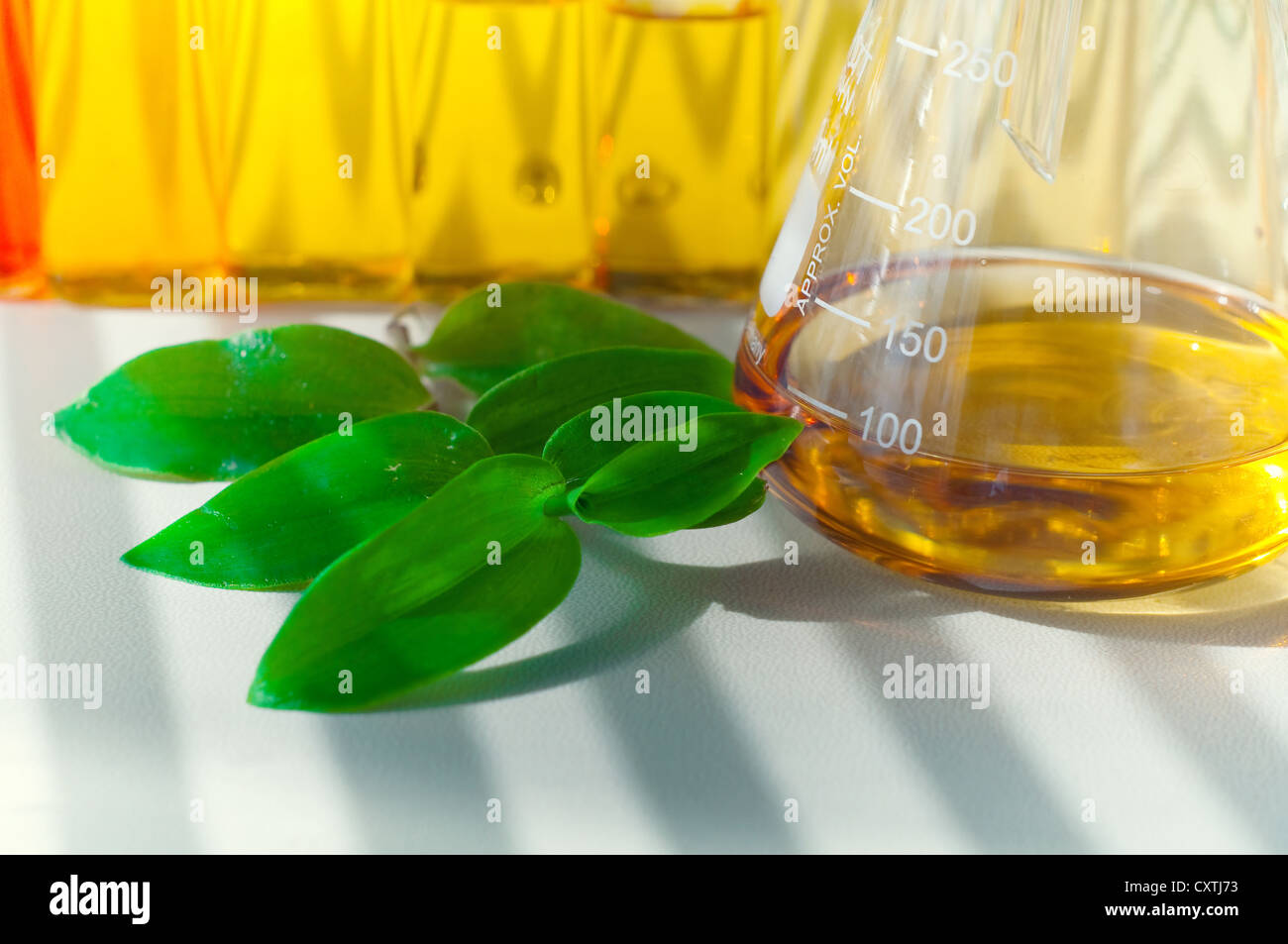 Küvette alternative Kraftstoffe Werk, das abgeleitet Kraftstoff Stockfoto