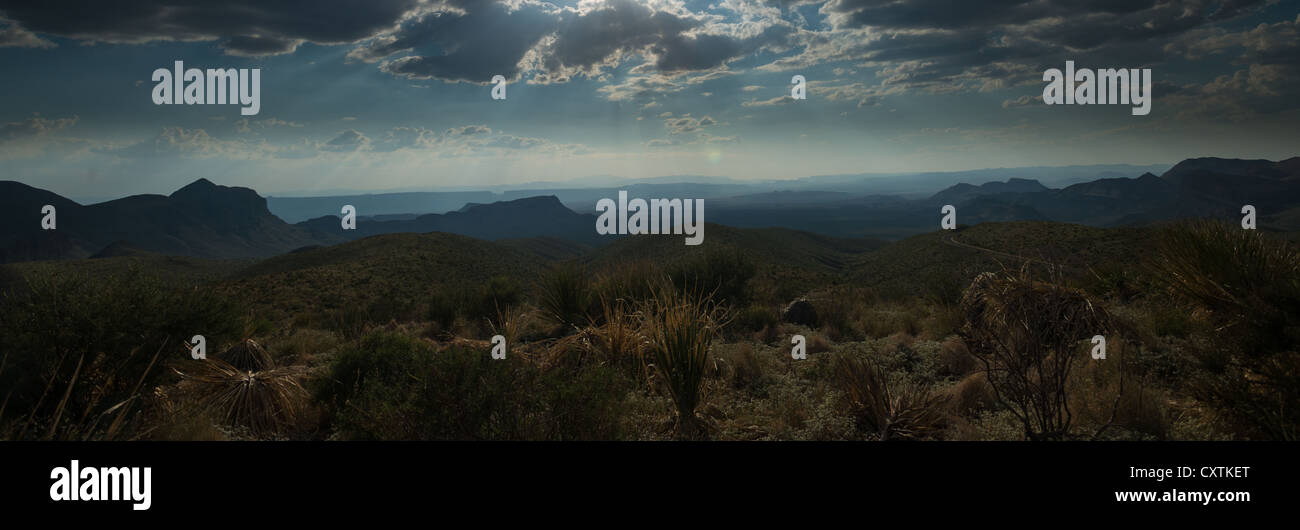 Nachthimmel in Big Bend Nationalpark, Texas. Stockfoto