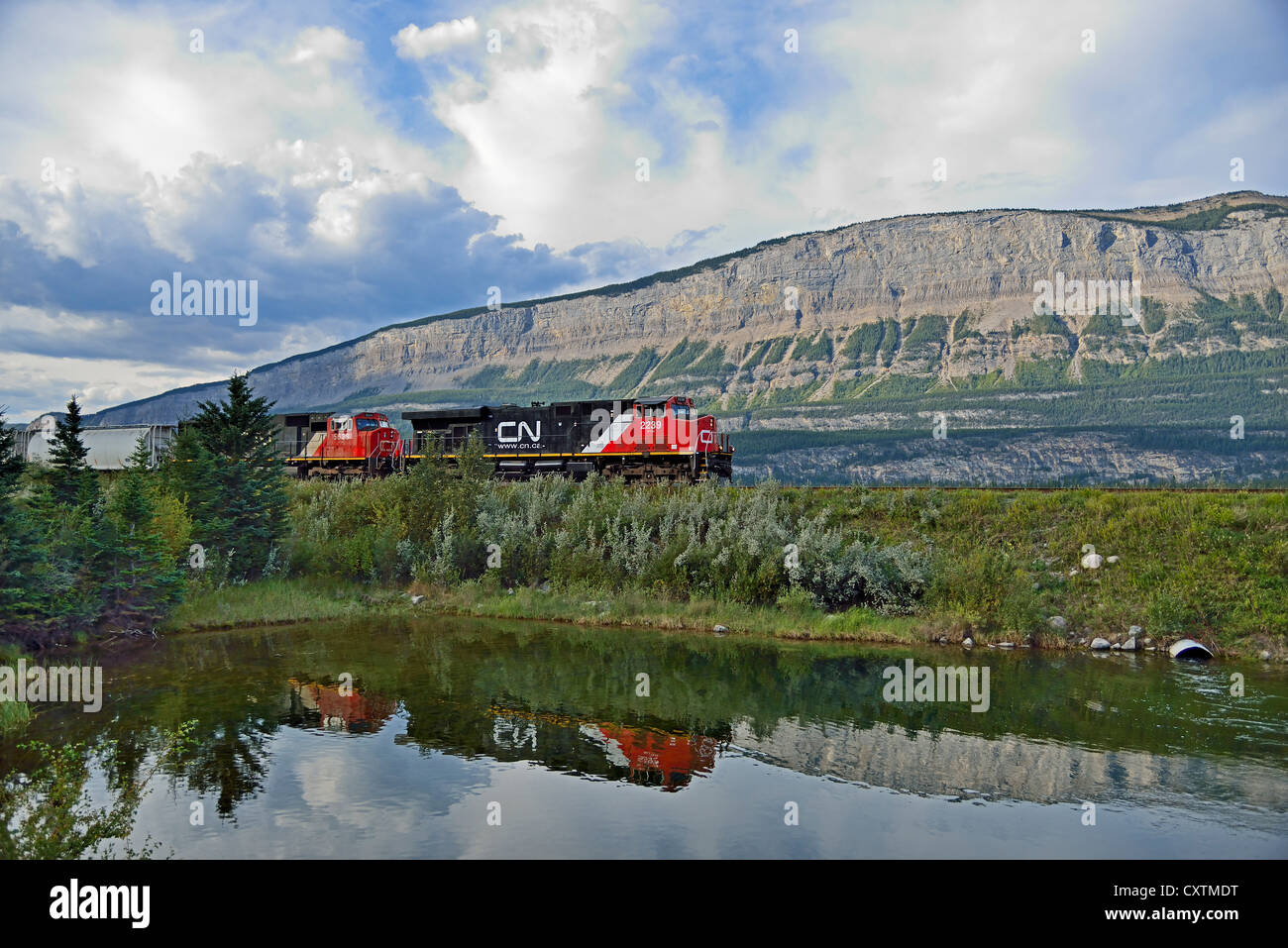 Kanadische nationale Güterzug eine Zuglast von Schienenfahrzeugen Stockfoto