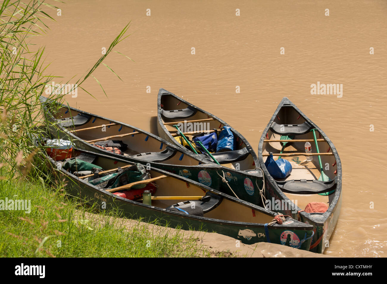 Vier Kanus am Fluss Rio Grande in Santa Elena Canyon, Big Bend Nationalpark, Texas. Stockfoto