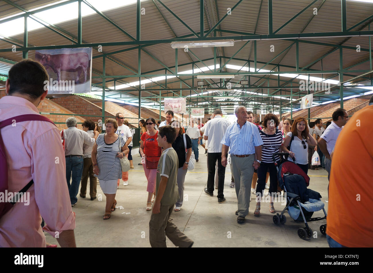 die Participantes besuchen fair International Livestock Agrar-Industrie-Ausstellung, in Zafra, Badajoz, Spanien Stockfoto