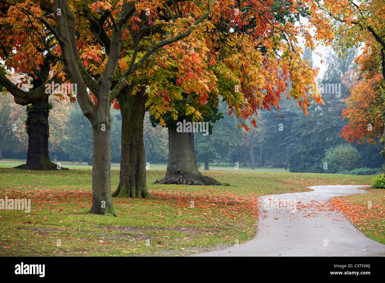 Herbstlaub in Cannon Hill Park in Birmingham, UK Stockfoto