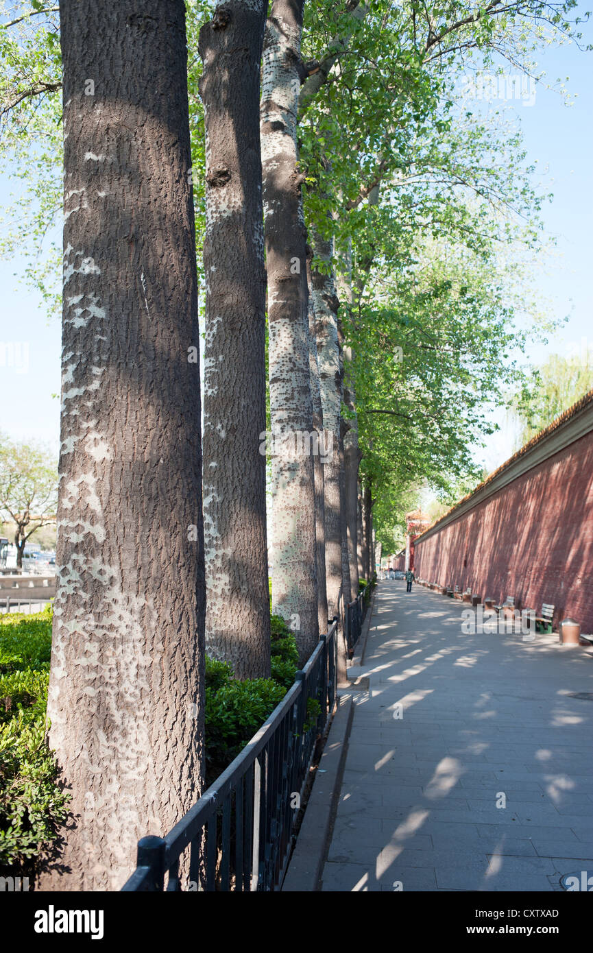 Peking, China, die alte Stadtmauer Stockfoto