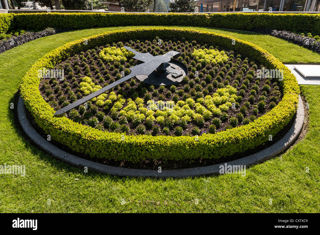 Blumenuhr in der Marine Parade Gardens, Napier, Neuseeland. Stockfoto