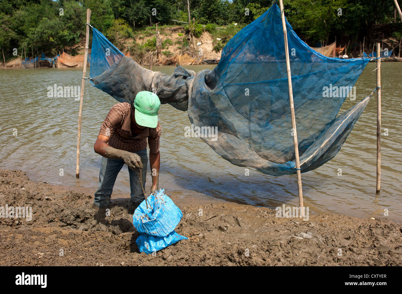 Mann auf der Suche nach Regenwürmern als Köder für den Fischfang in den schlammigen Ufer des Flusses Sangkae, Battambang, Kambodscha Stockfoto