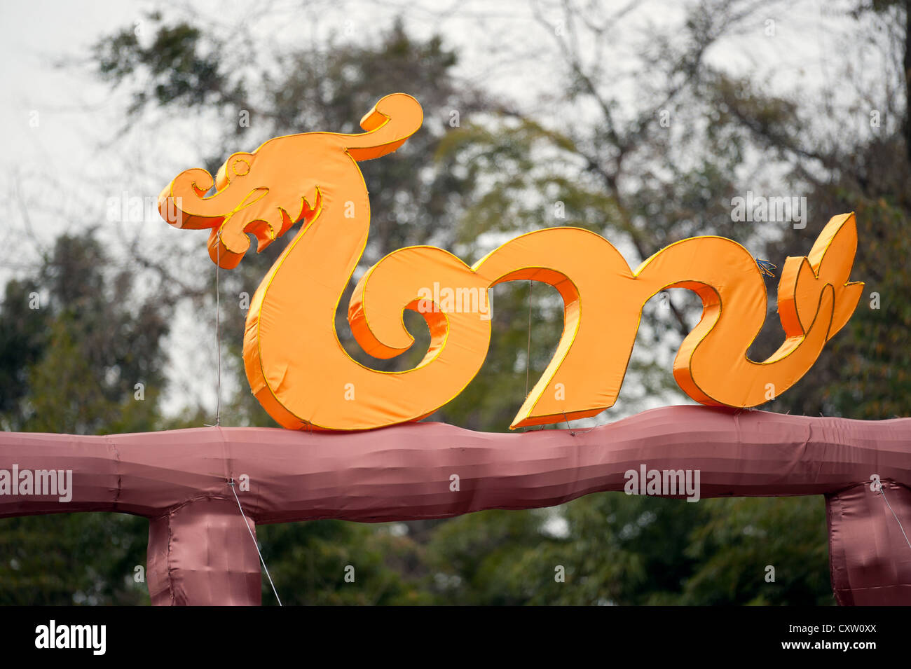 Chinesische Fabeltier, der Drache Stockfoto