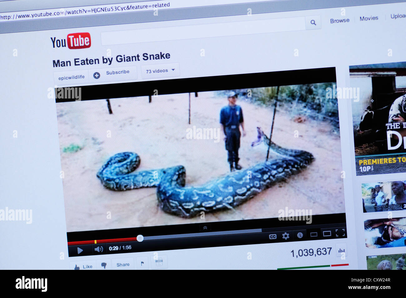 YouTube-Website - Mann gegessen durch Riesenschlange Falschmeldung Stockfoto
