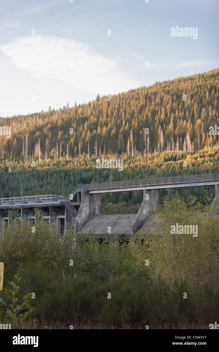 Flusswehr auf Vancouver Island. Stockfoto