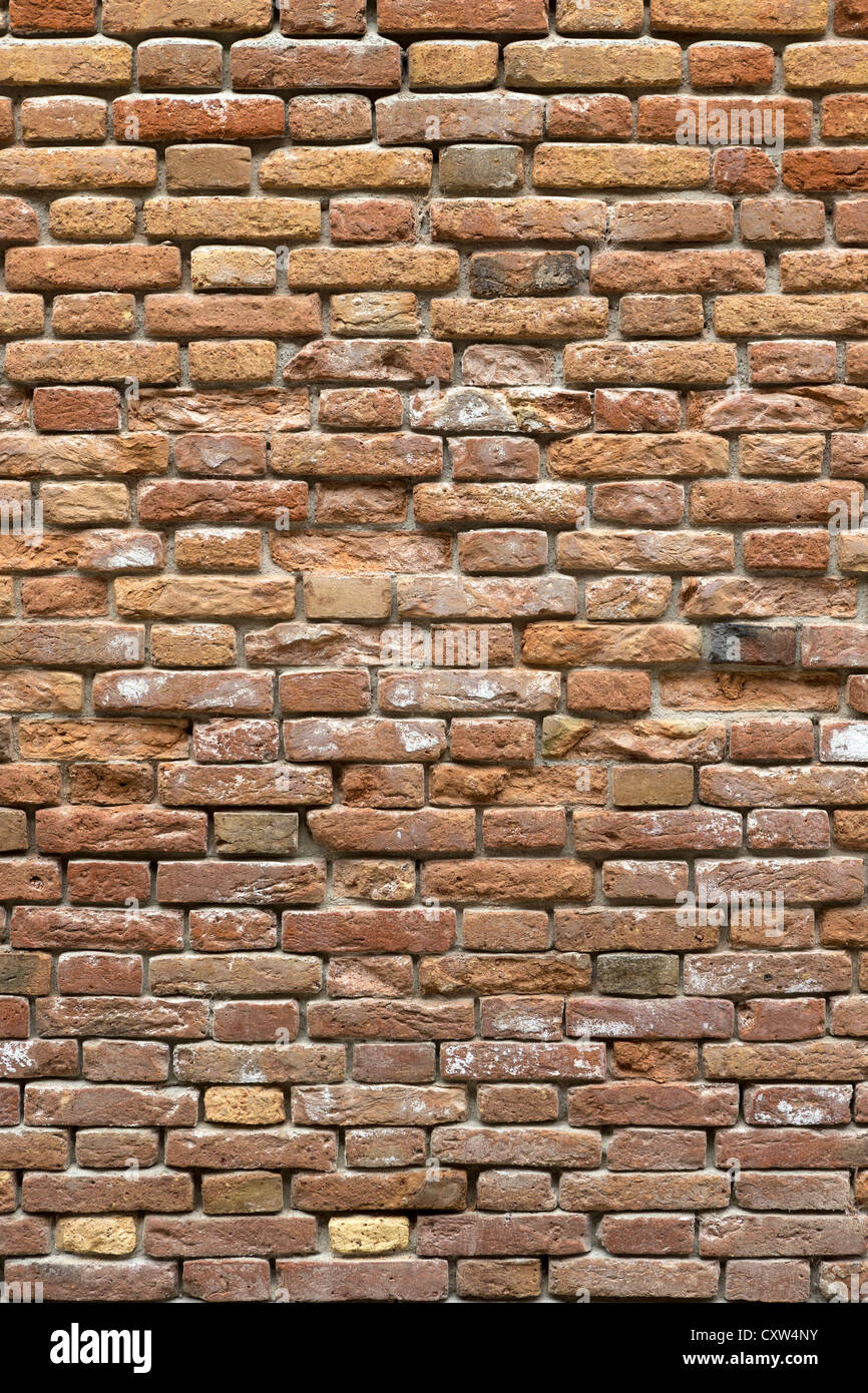 Alte Mauer, einige Ziegel erodieren und etwas brauchen Mauerfugen.  Mauerwerk in flämischen Bond Muster verlegt. Stockfoto