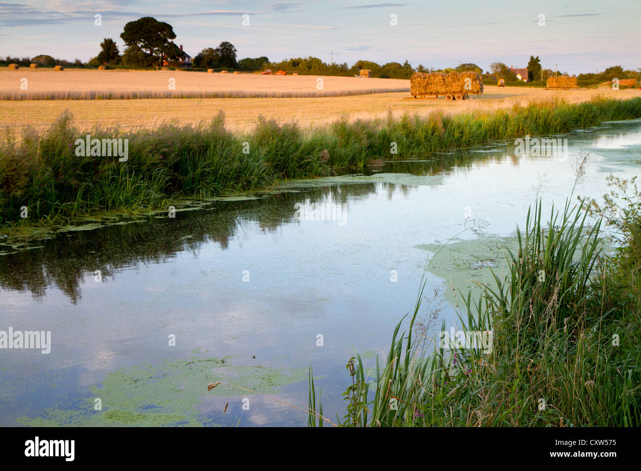 Ernte am Kanal in Somerset in der Abenddämmerung Stockfoto