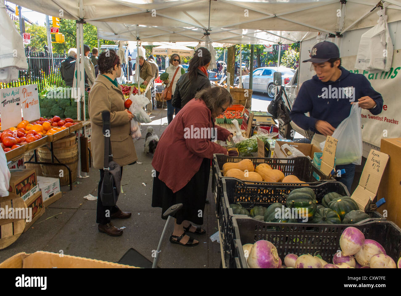 New York City, USA, Großgruppen, Frauen Shopping, Imbissstände, frisches, lokales Obst, Farmer's Market, in Greenwich Village, Abingdon Square, das Leben der Landwirte Stockfoto